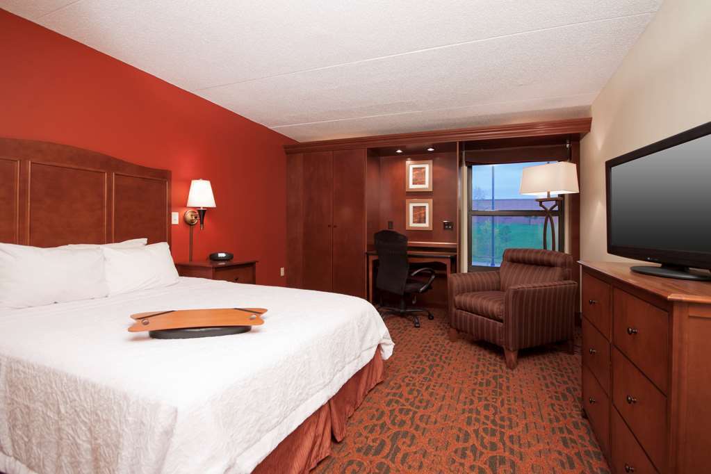 Hampton Inn Grand Rapids/North Walker Pokój zdjęcie